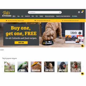 طنز و پرانرژی (رنگ‌های شاد، فضا زنده برای جذب کاربر)